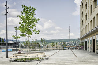 Centralplatz, Thalwil, Modell Ansicht, , Fischer Architekten AG Zürich